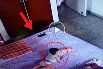 மெத்தை மேல் படுத்திருந்த குழந்தை - இறுதியில் நடந்த விபரீதம் - அதிர்ச்சி வீடியோ