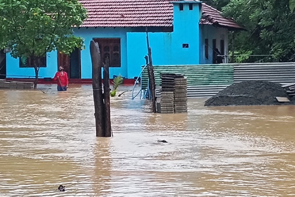 வடக்கில் தீவிரமாகும் மழை ; கிளிநொச்சியில் தாழ் நிலப்பகுதிகள் வெள்ளத்தில் | Kilinochchi Low Lying Areas Flooded