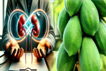 சிறுநீரக பிரச்சனைக்கு மருந்தாகும் பப்பாளி காய்.. யாரெல்லாம் சாப்பிடக்கூடாது?