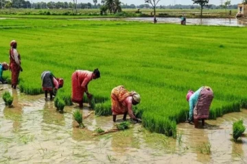 விவசாயிகள் அரசாங்கத்திடம் முன்வைத்துள்ள கோரிக்கை