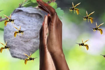 பிரபல பாடசாலை மாணவர்கள் 17 பேர் வைத்தியசாலையில் அனுமதி !