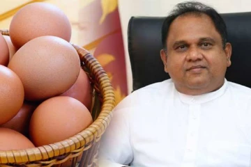 38 ரூபாவாக குறைக்கப்படும் முட்டையின் விலை! வர்த்தக அமைச்சர் தகவல்