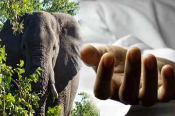 கதிர்காம யாத்திரையில் கலந்து கொண்டிருந்த பெண்ணுக்கு ஏற்பட்ட விபரீதம்