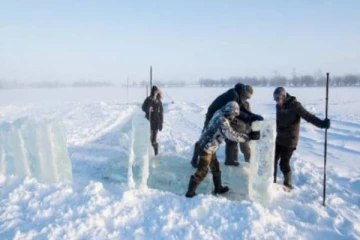 48,500 ஆண்டுகள் பின் மீண்டும் புத்துயிர் பெற்ற கொடிய வைரஸ்! மனிதர்களுக்கு ஆபத்தா?