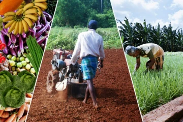 விவசாய ஆலோசகர்களின் தொழிற்சங்க போராட்டம்! வீழ்ச்சியடையும் விவசாயம்