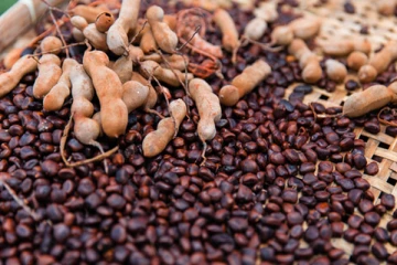 தூக்கி ஏறியும் புளியங்கொட்டையில் இத்தனை நன்மைகள் உள்ளதா?