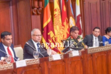 ඩෙංගු අවදානම අවම කර ගැනීමට කඩිනම් පියවර ගැනීමේ අවශ්‍යතාවය අවධාරණය කෙරේ...