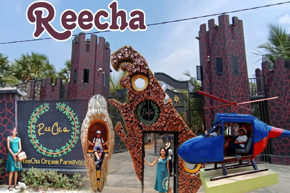 தாய் மண்ணுக்கு பெருமை சேர்த்த ReeCha ; பிரபலம் பகிர்ந்த பதிவு | Reecha Park Kilinochchi Tourism B H Abdul Hameed