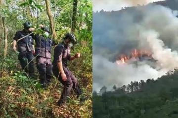 நடுங்கவைத்த விமான விபத்து: 132 பேரின் பரிதாப நிலை! வெளியான அதிர்ச்சி தகவல்