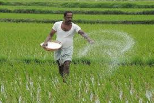 எம்.சீ.சீ உடன்படிக்கை விவகாரம்- கமத் தொழிலாளர்கள் தொடர்பில் வெளியாகியுள்ள அறிவிப்பு! - ஐபிசி தமிழ்