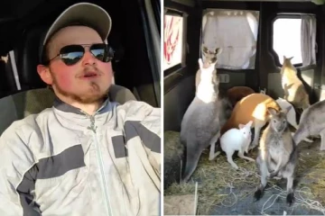 குண்டு மழைக்கு மத்தியில் கங்காருவை காப்பாற்றிய தன்னார்வலர்: குவியும் பாராட்டுக்கள்