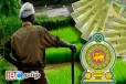 நெல்லுக்கான உத்தரவாத விலை - அமைச்சர் வெளியிட்ட அறிவிப்பு