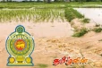 வெள்ளத்தினால் சேதமடைந்த விளைநிலங்களுக்கு நஷ்டஈடு