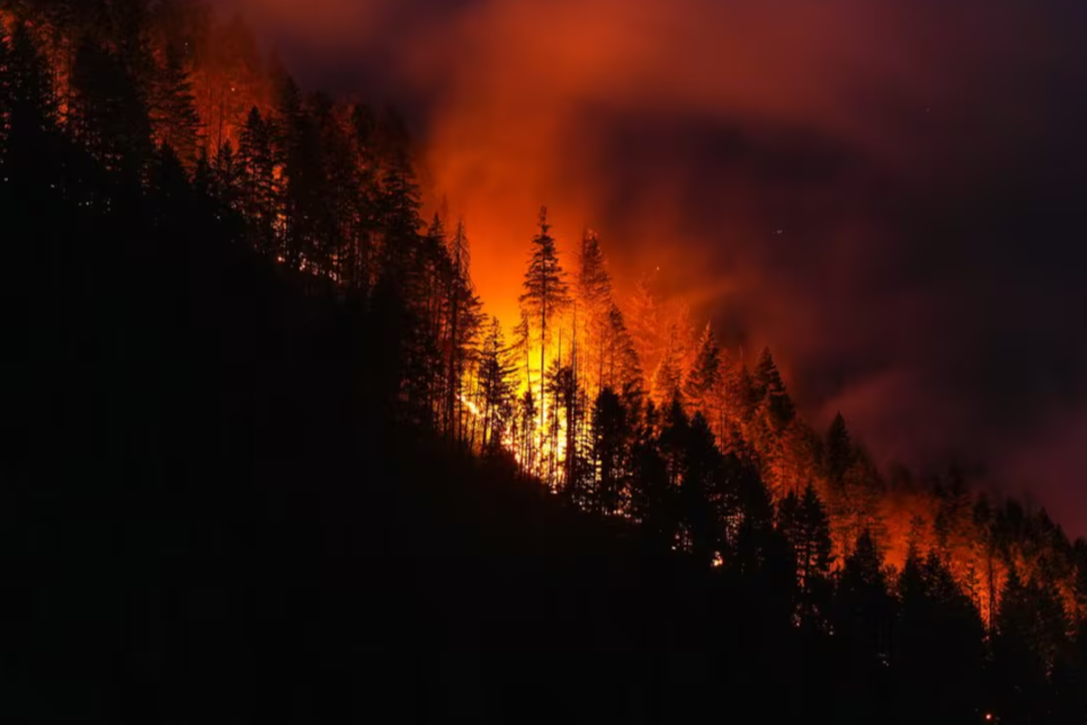 பிரிட்டிஷ் கொலம்பியாவில் தீவிரமடையும் காட்டுத்தீ! | Bc Firefighters Face Critical Days As Dry Fuels