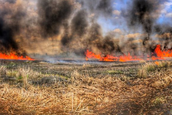 வயலில் வைக்கோலுக்கு தீவைத்தவர் உயிரிழப்பு | Man Dies After Setting Fire To Hay In Field