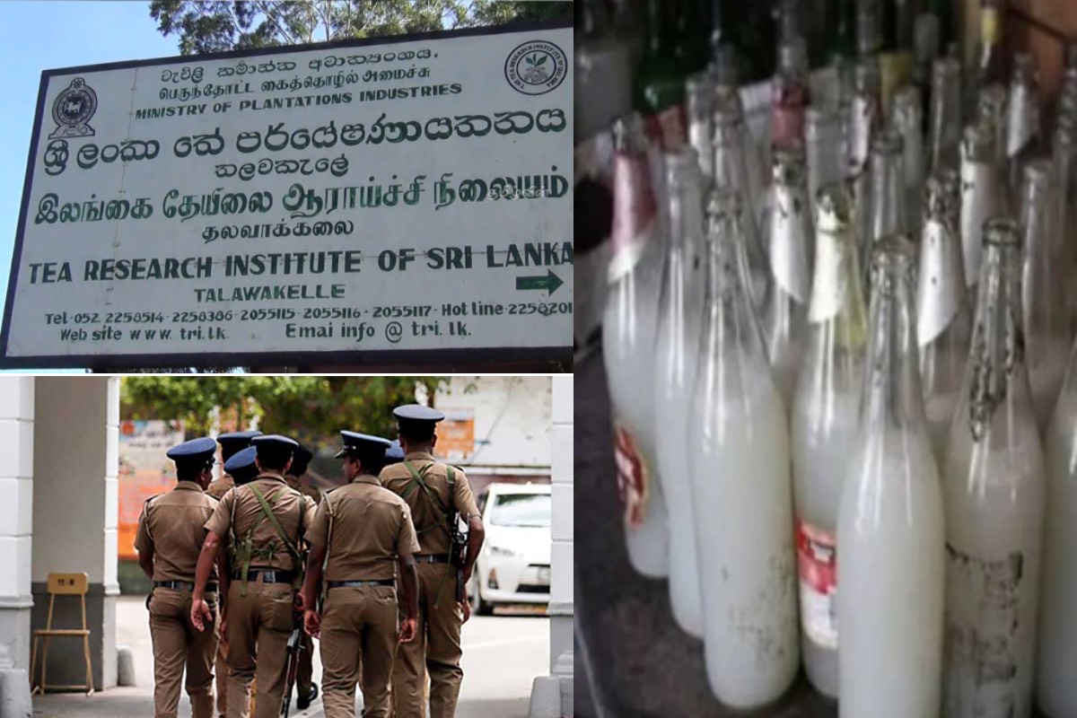 இலங்கையில் சட்டவிரோதமாக மதுபானம் தயாரிப்பு: 65 வயது சாரதி அதிரடி கைது | Illegal Liquor Producing Man Arrested In Srilanka