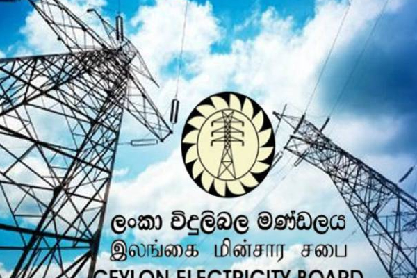 நாமலில் திருமண மின்சார கட்டணம் : பெரமுன வெளியிட்ட முக்கிய தகவல்! | Marriage Electricity Charges In Namal Rajapaksa