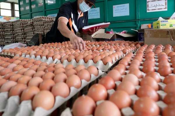 துறைமுகத்தில் தேங்கிய இந்திய முட்டைகள்! | Indian Eggs Stored In The Port