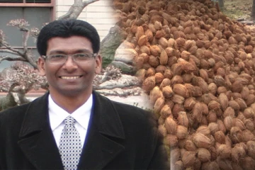 களஞ்சியசாலைகளில் தேங்கிய நிலையில் தேங்காய்கள்: வர்த்தகர்கள் வைக்கும் கோரிக்கை