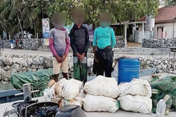 கிலோக்கணக்கான கேரள கஞ்சாவுடன் கைதான நபர்கள்! | Drug Dealers In Sri Lanka Sea Site