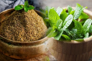 கமகமக்கும் புதினா பொடி; நீங்களும் செய்து பாருங்க!