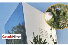 உலகெங்கிலும் திடீரெனத் தோன்றி பரபரப்பை ஏற்படுத்திய மர்மத்தூண் இந்தியாவிலும்!