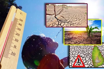 நாட்டின் பெரும்பாலான பகுதிகளுக்கு வெப்ப எச்சரிக்கை