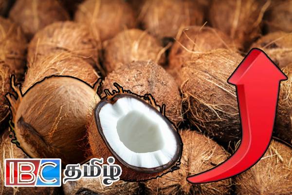 தேங்காய் விலையில் ஏற்படவுள்ள மாற்றம் ...! மத்திய வங்கி வெளியிட்ட அறிக்கை | Good News For Sl Peoples Coconut Prices Down