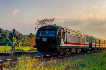 ரயில்களின் வேகத்தை குறைக்க தீர்மானம்