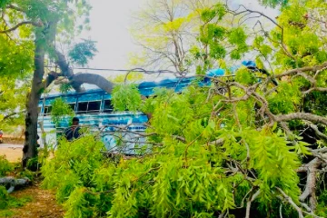 බිහිසුණු අනතුරක් - 18 දෙනෙකුට තුවාල 4 දෙනෙකුට බරපතළයි [PHOTOS]
