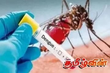 யாழில் டெங்கு பரவும் அபாயம் - 14 பேருக்கு எதிராக வழக்கு