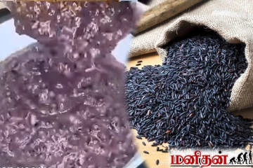 என்றும் இளமையாக இருக்கனுமா? ராஜாக்களின் உணவான இதை கண்டிப்பாக சாப்பிடுங்க