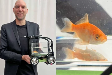 வாகனம் ஓட்டிய தங்கமீன் ; கின்னஸில் புதிய மைல்கல்