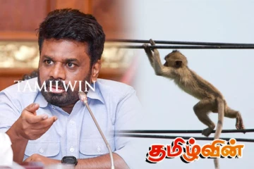 அநுர அரசாங்கத்தின் பெரும் எதிரியாக மாறியுள்ள குரங்குகள்