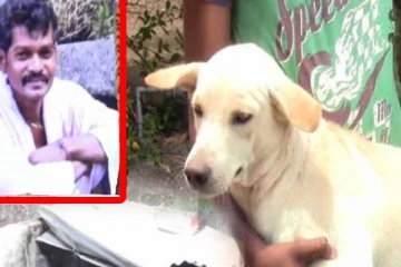 கிணற்றில் விழுந்த நாயை காப்பாற்ற முற்பட்ட நபருக்கு நேர்ந்த சோகம்!