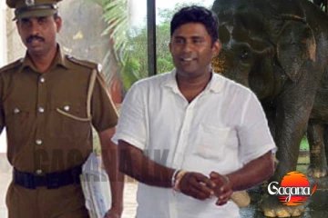 අලි රොෂාන්ට වසර පහළවක සිරදඬුවම්