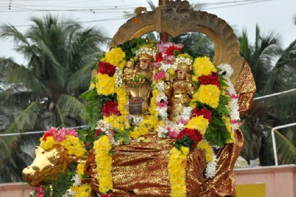 பொன்னையும் பொருளையும் அள்ளித்தரும் புதன் பிரதோஷ வழிபாடு! | Wednesday Pradosha Worship That Brings