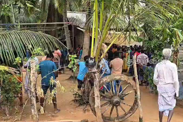 திருகோணமலை காட்டுப் பகுதியில் யானை தாக்கி ஒருவர் பலி | Elephant Attack Trincomalee One Died