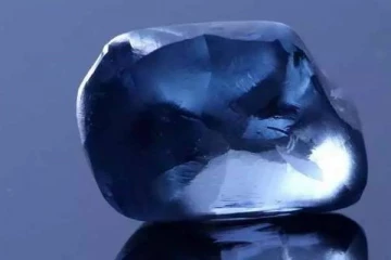 கனேடிய நிறுவனத்துக்கு அடித்த மிகப்பெரிய அதிஷ்டம்!