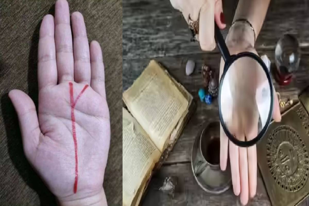 கையில் இந்த 3 ரேகை அமைப்பு இருக்கிறதா? இவர்கள் மன்னர்களை போல வாழ்வார்கள் | Lucky Luck Line Astrology They Live Like Kings கையில் இந்த 3 ரேகை அமைப்பு இருக்கிறதா? இவர்கள் மன்னர்களை போல வாழ்வார்கள் | Lucky Luck Line Astrology They Live Like Kings