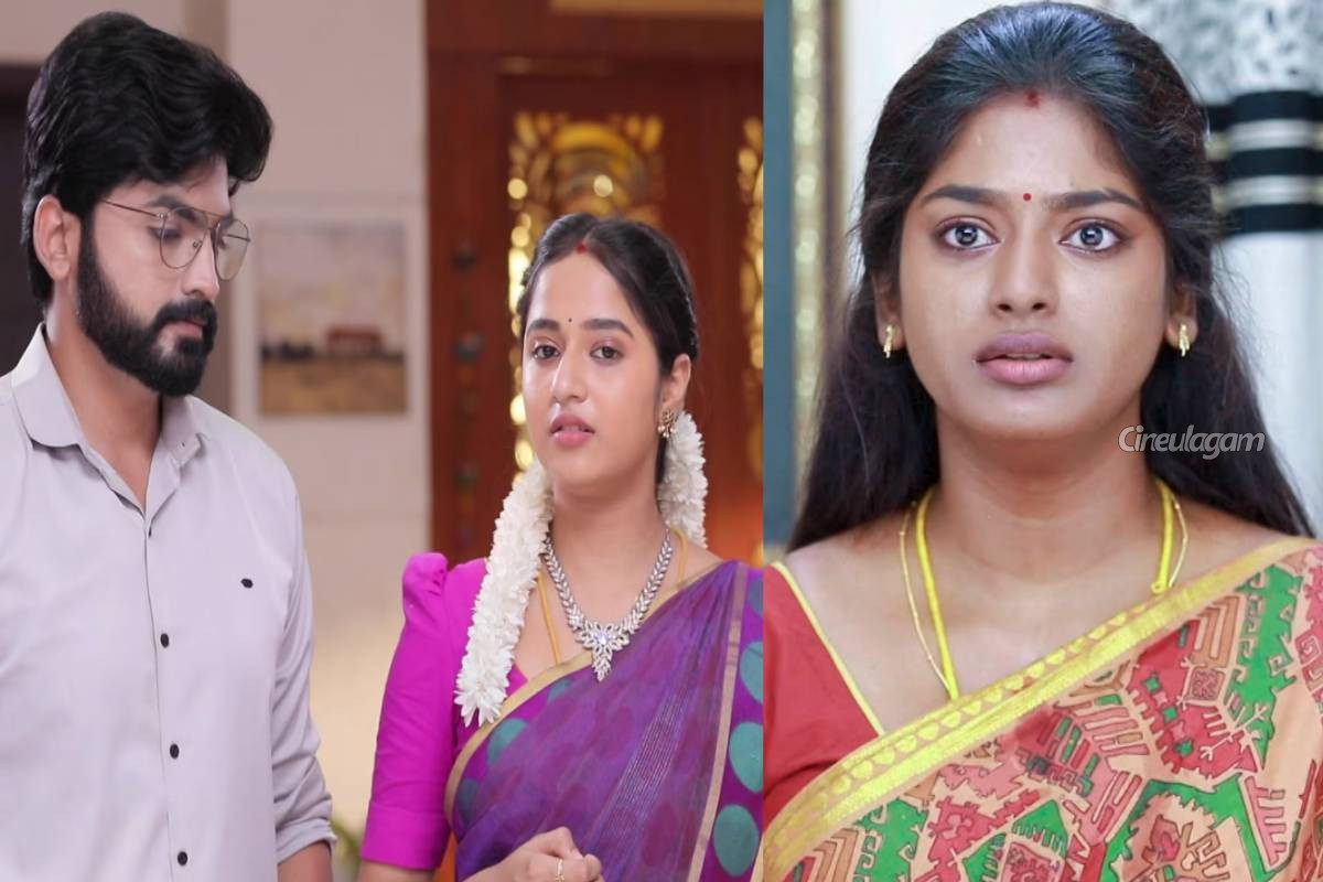 அடுத்தடுத்து 4 சீரியல்களை முடிக்க பிளான் போட்ட விஜய் டிவி... ஷாக்கில் ரசிகர்கள் | Vijay Tv Gonna End 4 Serials Back To Back