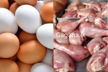 බිත්තර සහ කුකුල් මස් මිල ගණන් පහළ බසී..නිෂ්පාදකයින්ට රතු එළියක්..