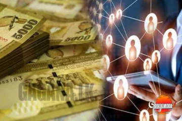 පිරමිඩ ජාවාරම්කරු අත්අඩංගුවට. කොටි 225 ක් සොරා කාලා