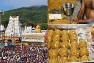 திருப்பதி லட்டில் இத்தனை வகைகள் இருக்கிறதா?