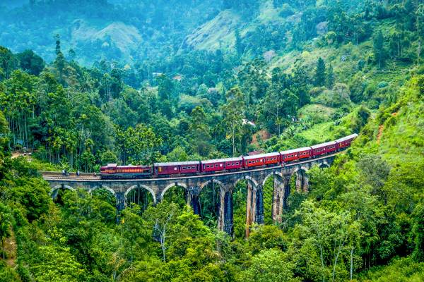 உலக சுற்றுலா வரைபடத்தில் நுவரெலியாவுக்கு கிடைத்த அங்கீகாரம் | International Recognition For Nuwara Eliya