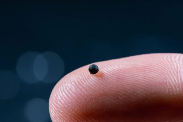 இரத்தக் குழாய்க்கு உள்ளேயே சென்று சிகிச்சையளிக்க உதவும் கடுகு விதையளவு ரோபோ: சுவிஸ் கண்டுபிடிப்பு | Tiny Robots Can Swim Through Blood To Fight Stroke இரத்தக் குழாய்க்கு உள்ளேயே சென்று சிகிச்சையளிக்க உதவும் கடுகு விதையளவு ரோபோ: சுவிஸ் கண்டுபிடிப்பு | Tiny Robots Can Swim Through Blood To Fight Stroke