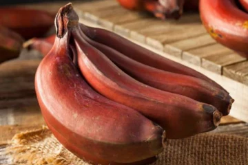 தினம் ஒரு செவ்வாழை சாப்பிட்டால் என்ன நடக்கும் தெரியுமா?