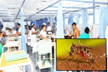 இலங்கை மக்களுக்கு மீண்டும் அச்சுறுத்தலாக மாறிவரும் டெங்கு நோய் தொற்று