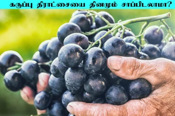 கருப்பு திராட்சையை தினமும் சாப்பிடலாமா? அதிசயத்தை கண்கூடாக காணலாம்