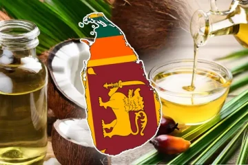 தேங்காய் எண்ணெயில் மோசடி இடம்பெறும் அபாயம் ; விடுக்கப்பட்டுள்ள எச்சரிக்கை